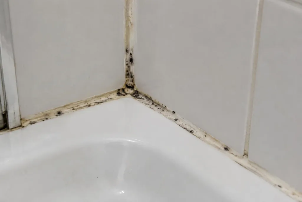 Kitbedrijf Druten – beschimmelde kitranden
